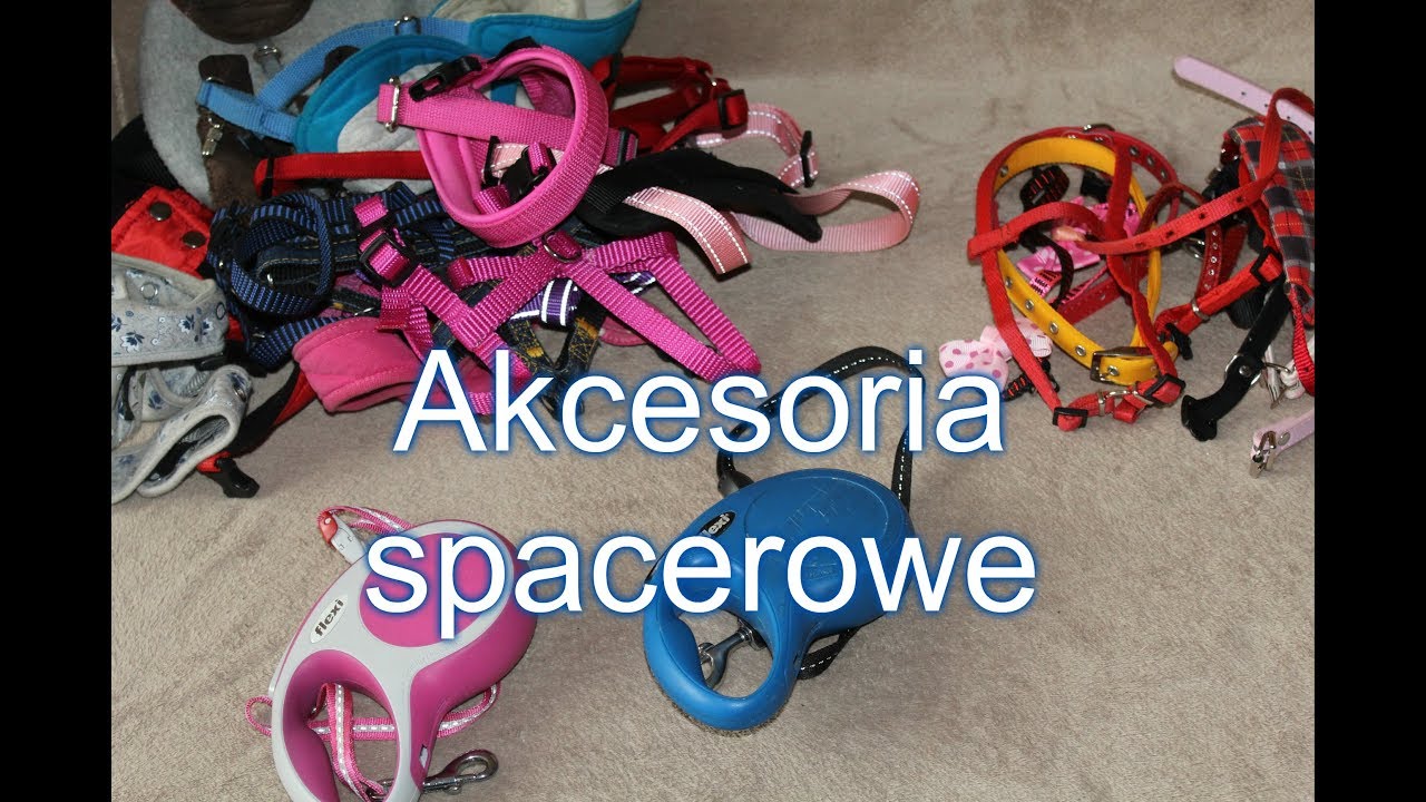 Wszystkie akcesoria spacerowe Sonii i Mai styczeń 2018