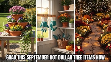 10 things you should be buying at dollar tree in September 2025