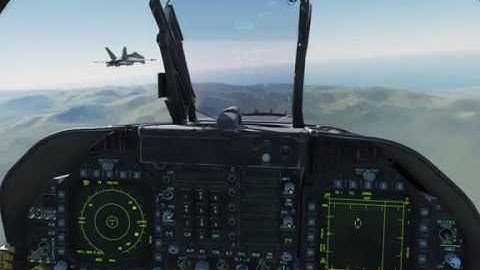 DCS online in a nutshell
