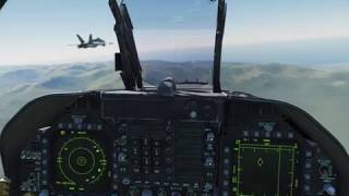 DCS online in a nutshell