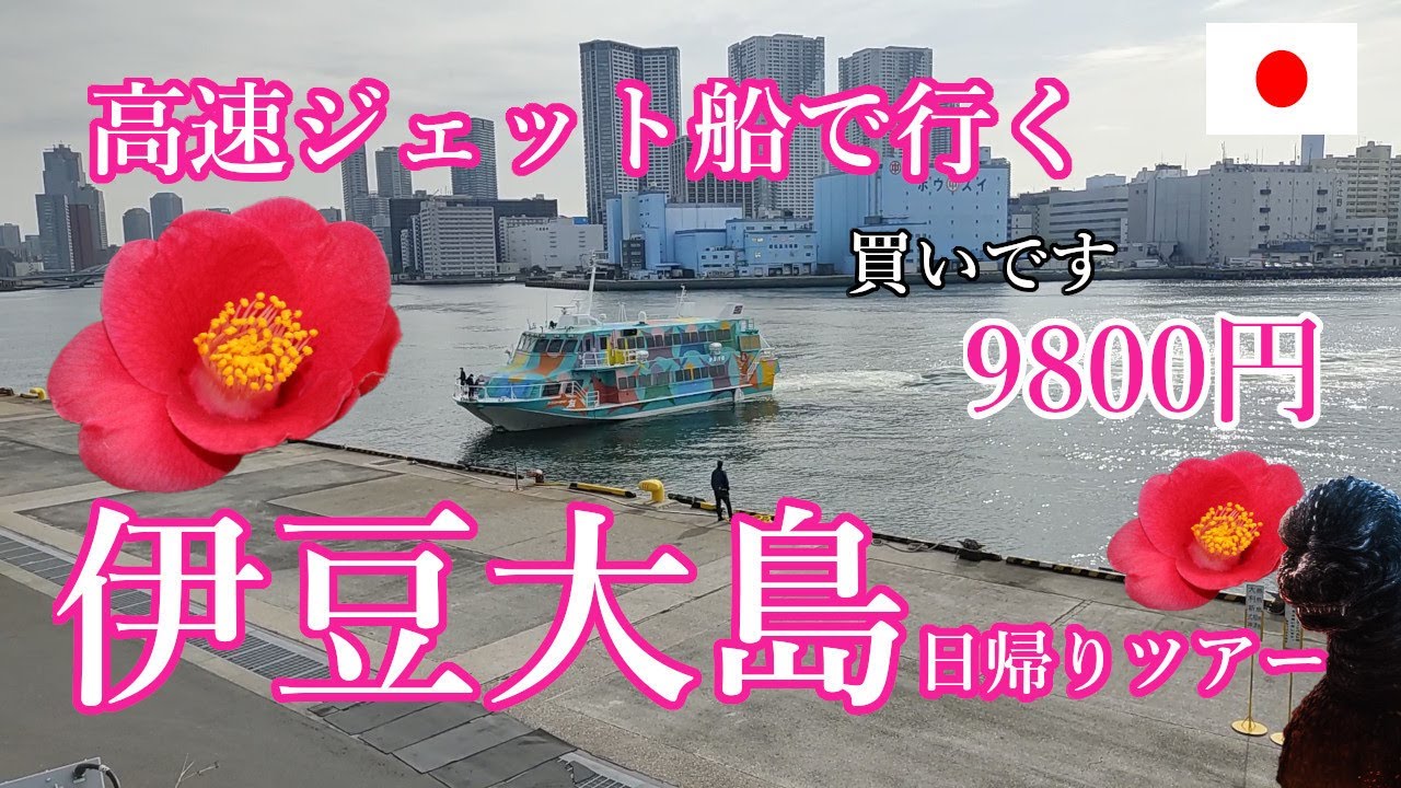 【伊豆大島】ジェット船で行く日帰りツアー9800円！あまりに安いのでどれほど価値のあるものか行ってみました。三原山山頂口展望台、波浮港展望台、波浮港、地層大拙断面 などなど