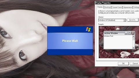 How to get the Luna theme on Windows Server 2003