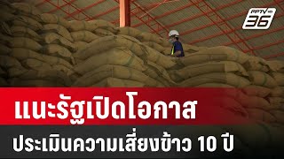 แนะรัฐเปิดโอกาสนักวิจัยประเมินความเสี่ยงข้าว 10 ปี | เข้มข่าวค่ำ | 11 พ.ค. 67