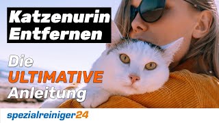 Katzenurin Entfernen - so geht es richtig. Die ULTIMATIVE Anleitung!