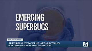 Superbug concerns growing amid COVID-19 pandemic