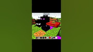 Genius minecraft build hack you need try it #minecraft