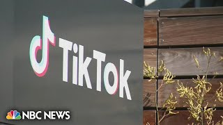 New York City Bans Tiktok App On Government Devices