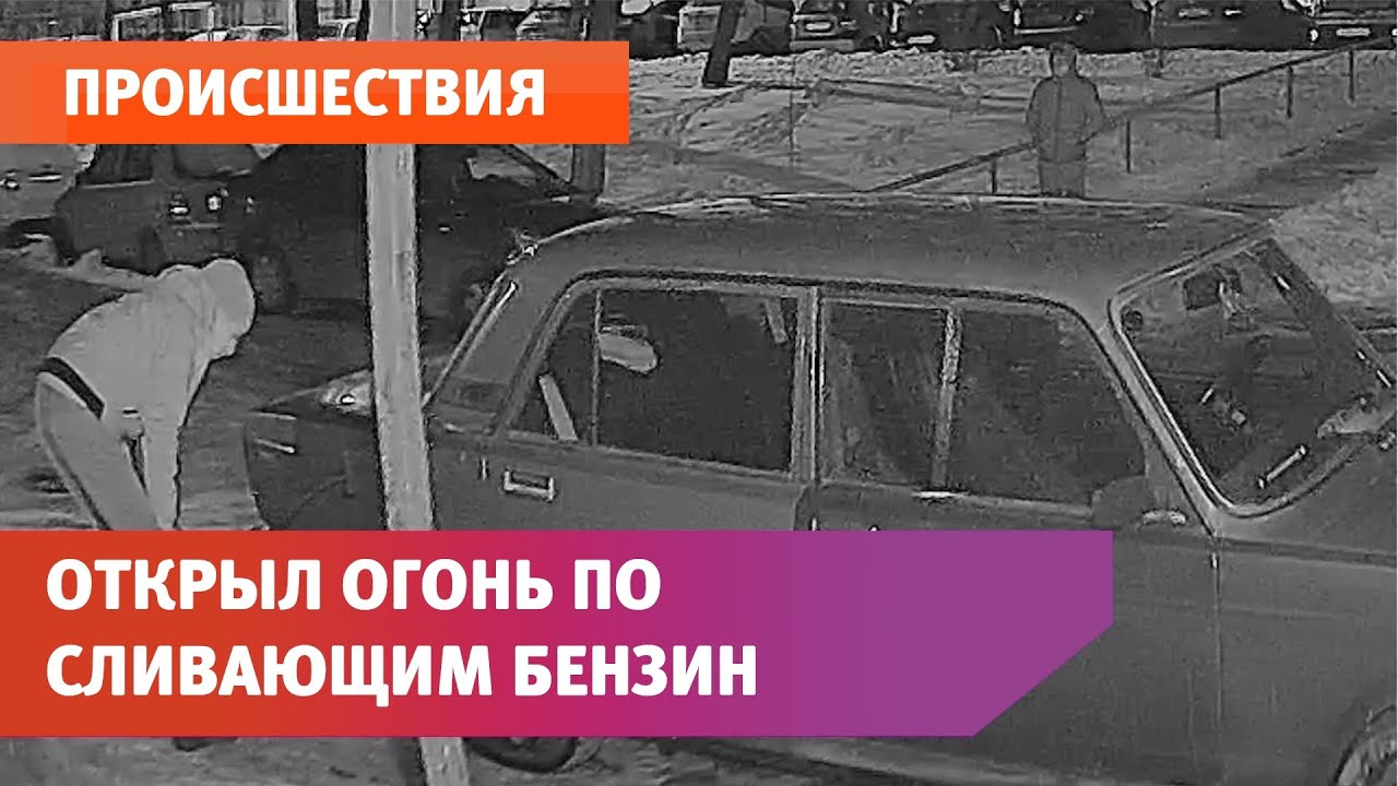 Высунула жопу из машины