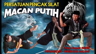 Gebyar Seni Pencak Silat Macan Putih Part 6