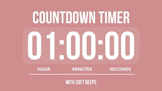 1 HOUR COUNTDOWN TIMER ⏳ WITH SOFT ALARMS 🌸 screenshot 2