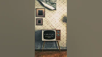 محمد أيوب 