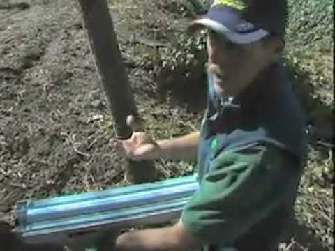 traverso tree service traverso tree service part youtube traverso tree service traverso tree service part youtube