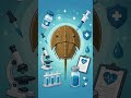 The horseshoe crab