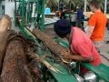 Wood-Mizer twin vertical saw TVS with spiky infeed system Wood-Mizer twin vertical saw TVS with spiky infeed system