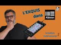 Exquis dans ableton live  la technologie mpe avec le contrleur dintuitive instruments facilement