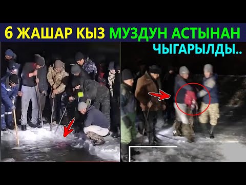 Video: Эмне үчүн гермиттер алтын сабизди жешет?