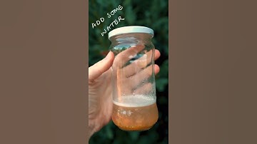How to save tomato seeds and get free tomatoes