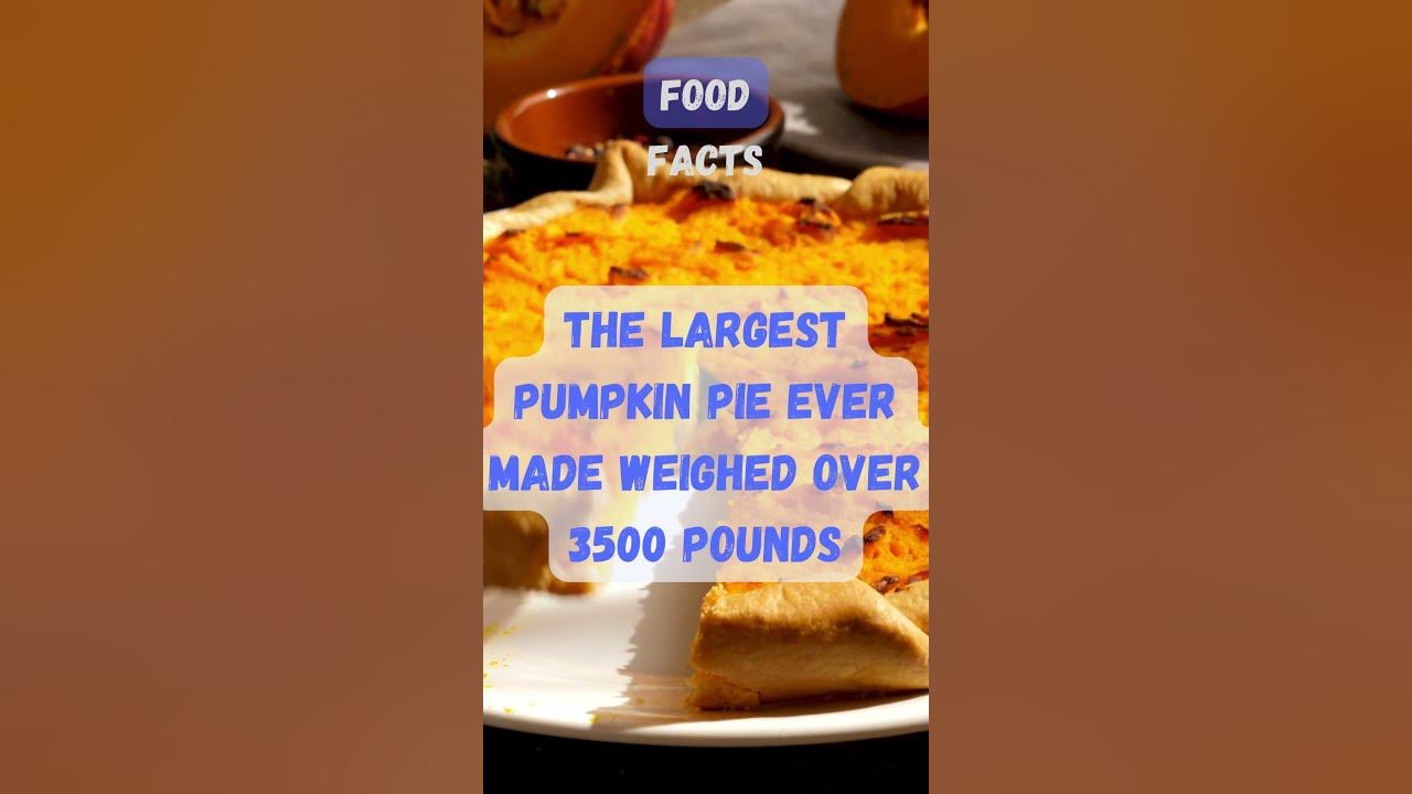 the-largest-pumpkin-pie-ever-made-weighed-over-3500-pounds-funfacts