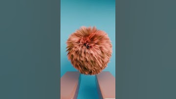 A 3D Hair Dynamics Simulation - Part 2 - #3danimation #blender #simulation