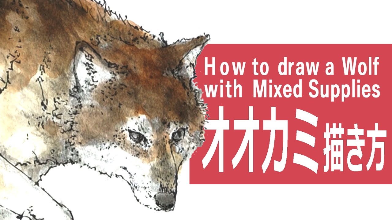 ペンと水彩絵の具とパステルのイラスト オオカミ How To Draw A Wolf With Pen Water Color Pastel Youtube