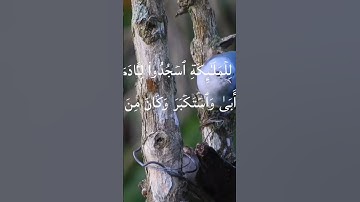 #quran دقيقه من وقتك استمع للقران الكريم