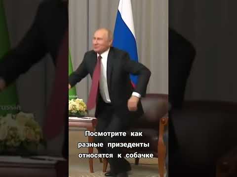 Улица Пушкина дом колотушкина(2)
