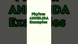 phylum annelida examples #shorts #biology #youtubeshorts Profile