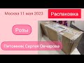 Розы из питомника Сергея Овчарова. Распаковка.Дождалась11 мая 2023