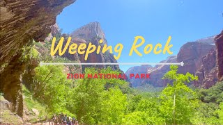 Weeping Rock Zion National Park | Popular Hike With Kids | Very Short Hike With Amazing View