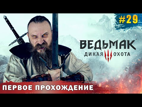 Видео: Квестим на Скеллиге. Ведьмак 3 Дикая Охота. Часть 29.