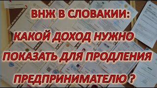 Необходимый минимум для продления ВНЖ для предпринимателя