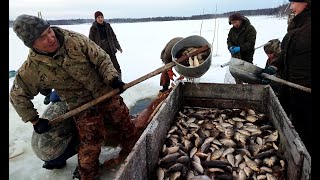Невод. Мунха №2. Отличный улов! Верхневилюйск #якутия #рыбалка #зима #охотаирыбалка #мунха #невод