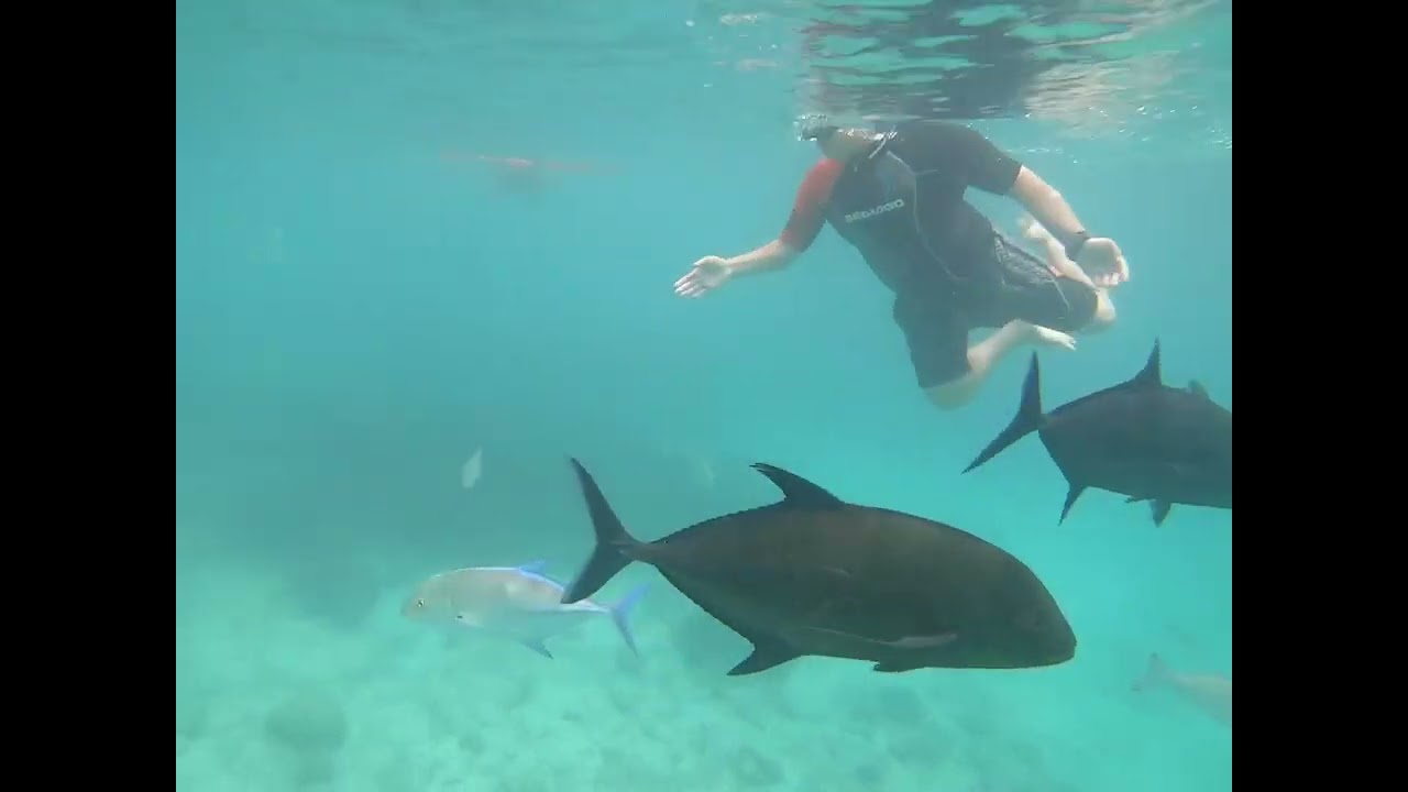 Bicol | Matnog| Sorsogon | Fish sanctuary |Philippines|Travel| Water Adventure