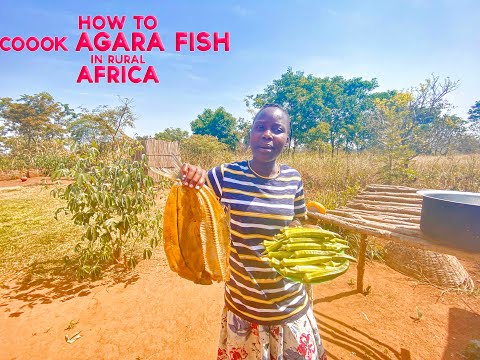 THE MOST UNIQUE FISH IN MY AFRICAN VILLAGE