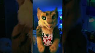 So horribly wrong #furry #furryfandom #furrytiktok #sergal #fyp #lgbt #streamer #Docisco #fursuit