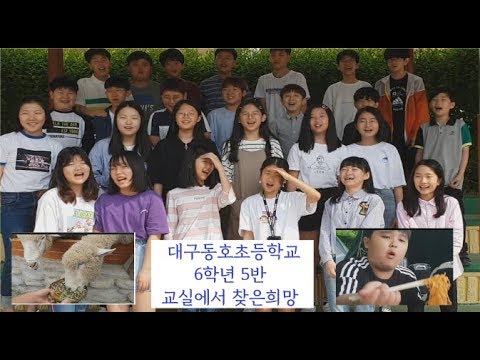 2019 교실에서 찾은 희망 대구동호초 6학년 5반