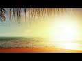 Vídeo de Viajes lider canarias