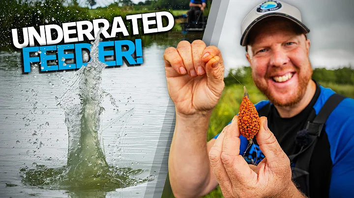 This Feeder Will Get The Fish Going Silly 🤪