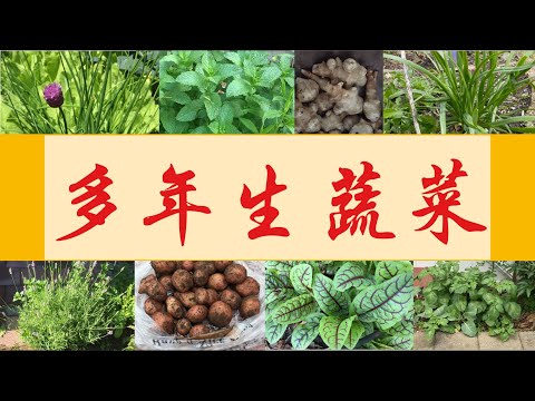 多年生蔬菜 (Perennial Vegetables)
