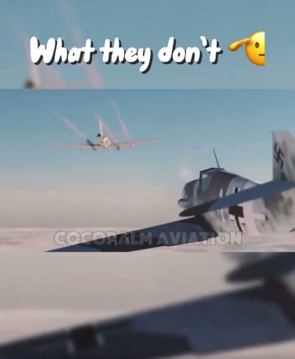 What They Don’t.. #aviation #planes #edit #ww2 #sad #war