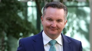 ‘Madness’: Chris Bowen says Australia needs more gas