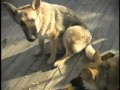 Max, Heidi and Stormys Music Video