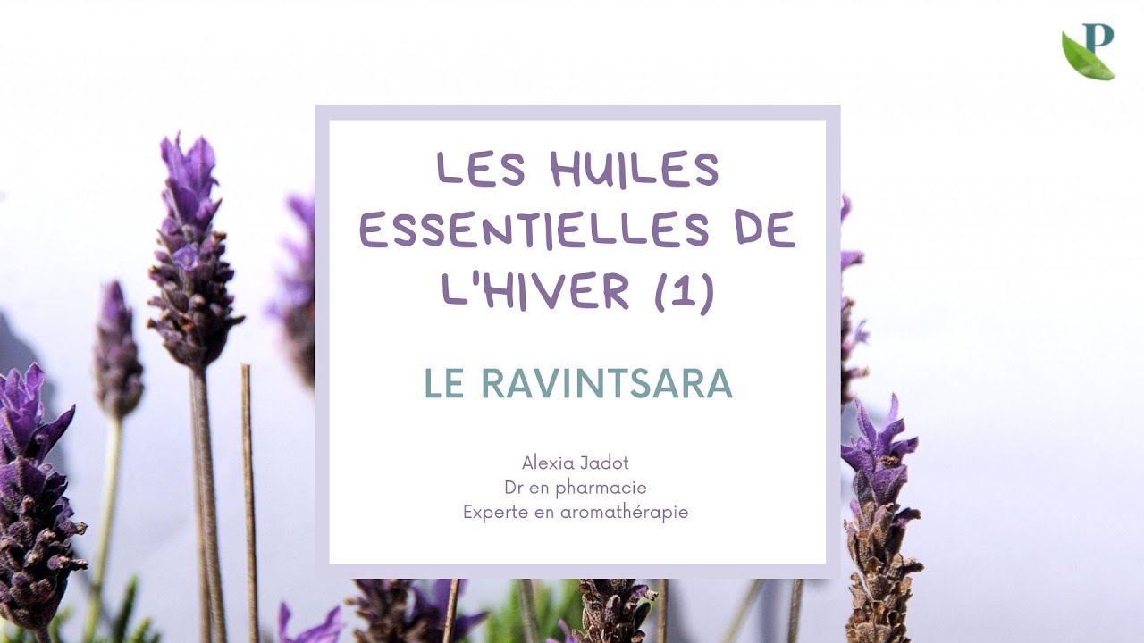 Le ravintsara, une huile essentielle pour l'hiver