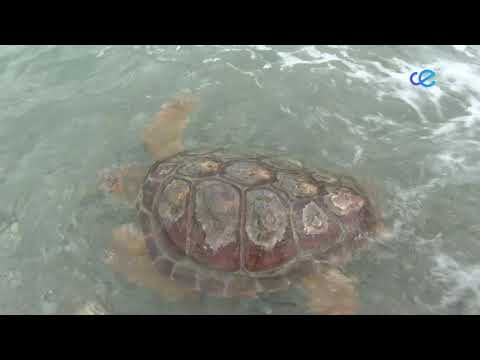 El PSOE interpela al Gobierno sobre le CECAM