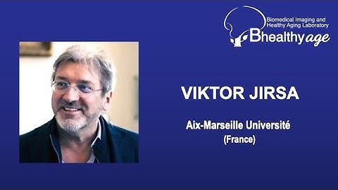 Viktor Jirsa: Digital Twins in Brain Medicine