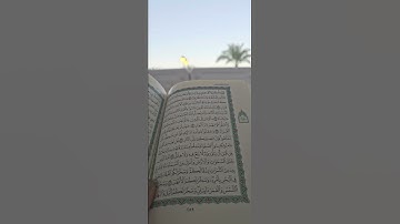 ماتيسر من سورة إبراهيم ( مقام العجم )#ابراهيم  #سورة_ابراهيم ##قران #قرآن_كريم #اقراءة #خشوع #تلاوة