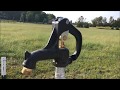 Tenderfoot Farms: How to Install a Yard Hydrant