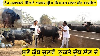 ਮੇਲਿਆਂ ਚ ਦੁੱਧ ਦੇ ਇਨਾਮ ਜਿੱਤਣ ਵਾਲਾ ਪਿੰਦੀ ਮੌਕੇ ਤੇ ਕੀ ਵਰਤਦਾ ਨੁਕਤੇ,, ਸੁਣੋ ਤਜਰਬੇ ਬਾਈ ਦੇ