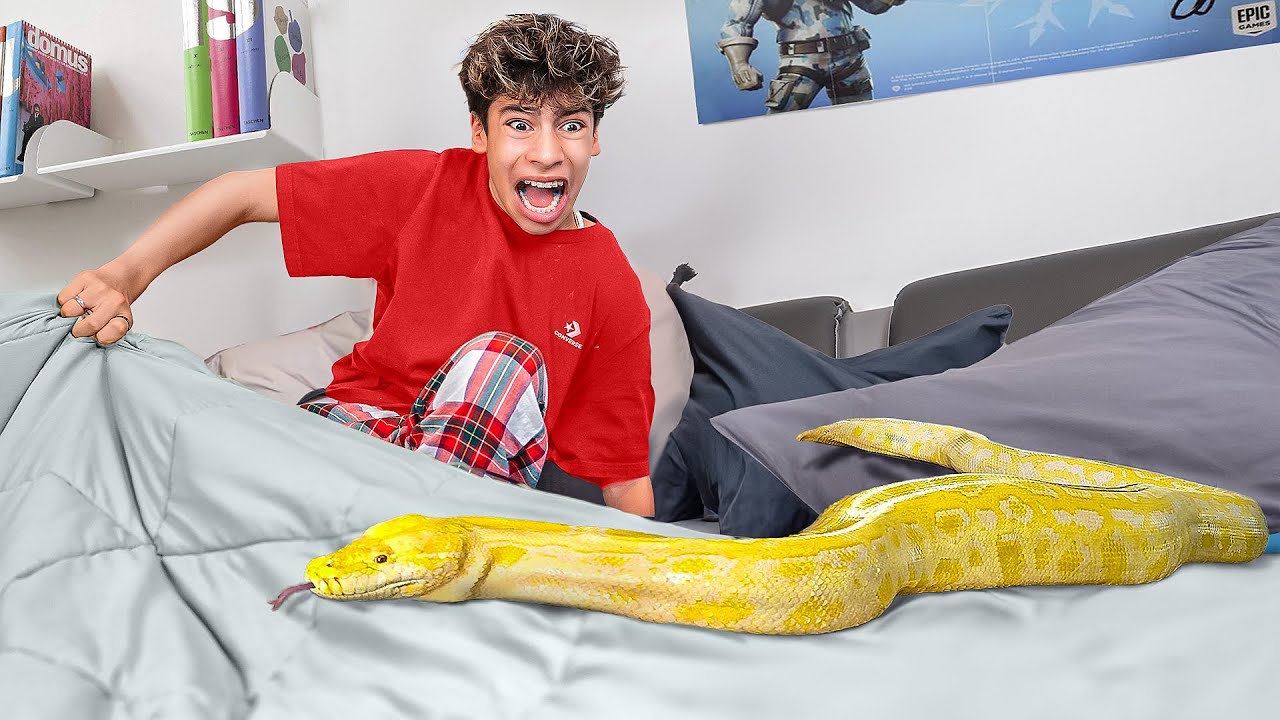 We Found a SNAKE in our Son's Bedroom!