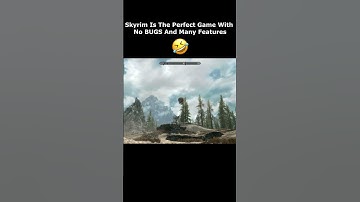 Skyrim Is The Perfect Game With No BUGS And Many Features  🤣  #skyrim #elderscrolls #shorts